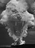 IN-HELL-TIGERS IN-HELL-TIGERS